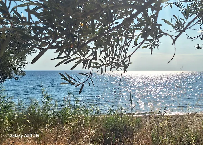 Vila Euphoria Villa, 9 Bdrs With Private Pools, Beachfront Kalogria (Sithonia)