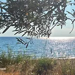 Villa Euphoria Villa, 9 Bdrs With Private Pools, Beachfront Kalogria (Sithonia)