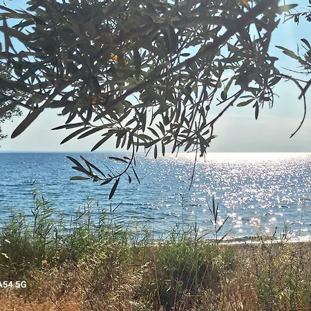 빌라 Euphoria Villa, 9 Bdrs With Private Pools, Beachfront 칼로그리아
